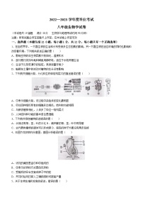 2023年辽宁省丹东市凤城市毕业考试暨中考二模生物试题(含答案)