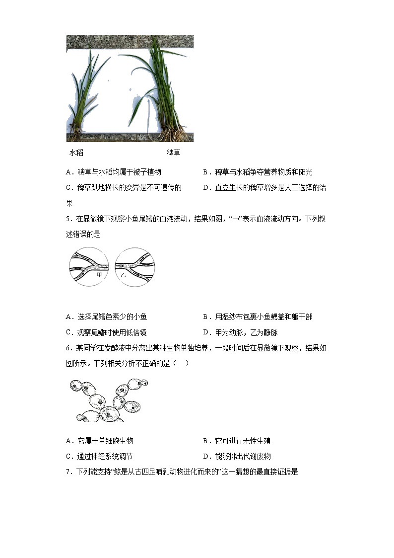 2023年内蒙古包头市中考模拟生物试题（含解析）第2页