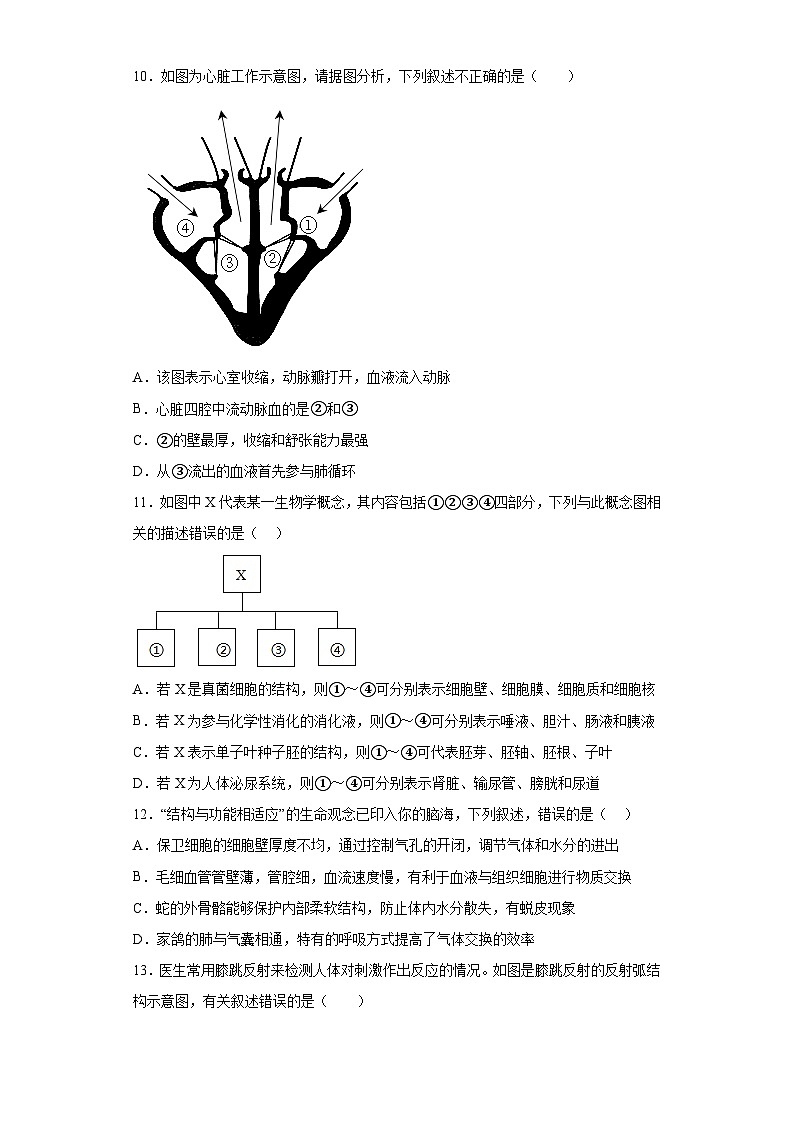 2023年山东省济宁市泗水县中考四模生物试题（含解析）第3页