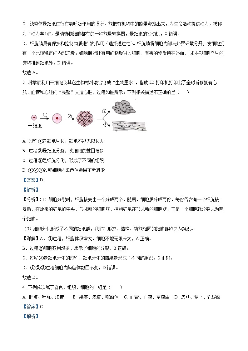 精品解析：2023年海南省海口市中考二模生物试题（解析版）第2页