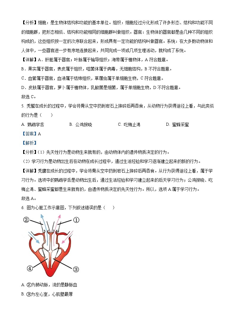 精品解析：2023年海南省海口市中考二模生物试题（解析版）第3页