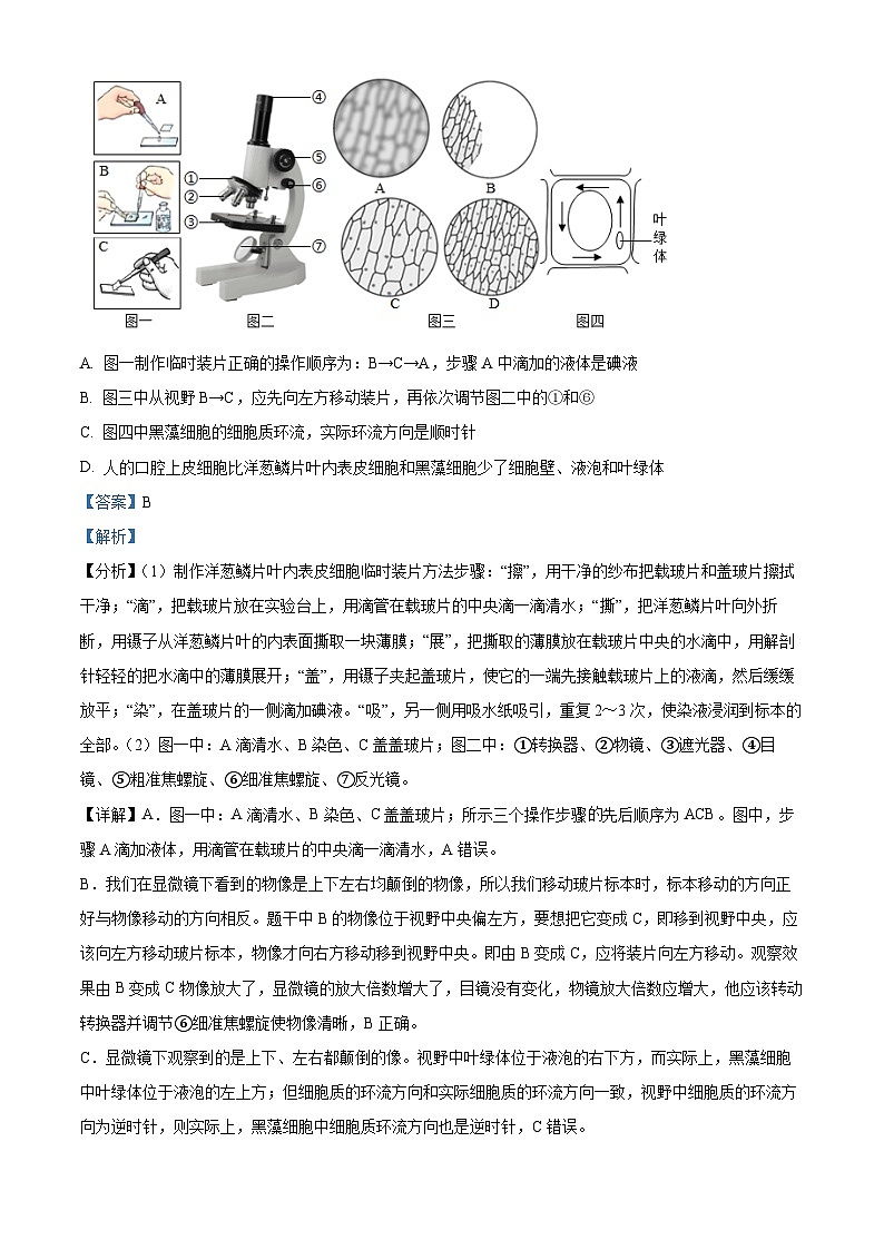 精品解析：2023年山东菏泽市牡丹区中考三模生物试题（解析版）02