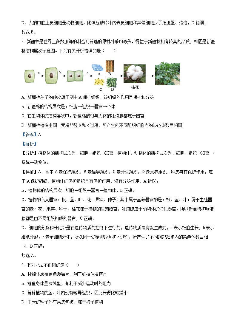 精品解析：2023年山东菏泽市牡丹区中考三模生物试题（解析版）03