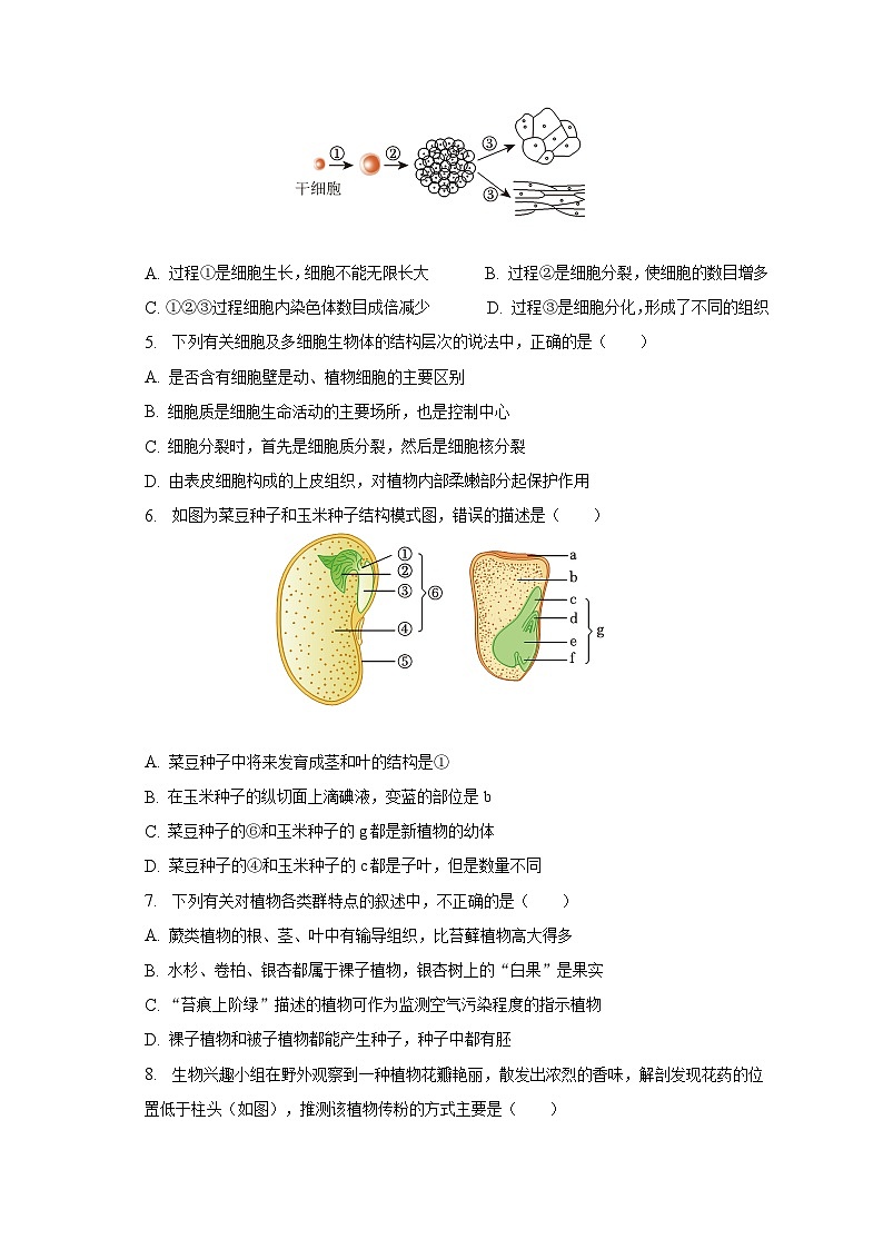 2023年山东省临沂市蒙阴县中考生物一模试卷（含解析）第2页