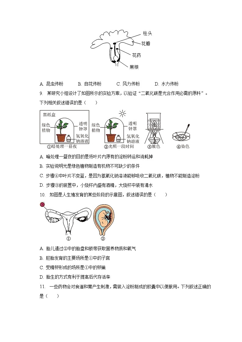 2023年山东省临沂市蒙阴县中考生物一模试卷（含解析）第3页