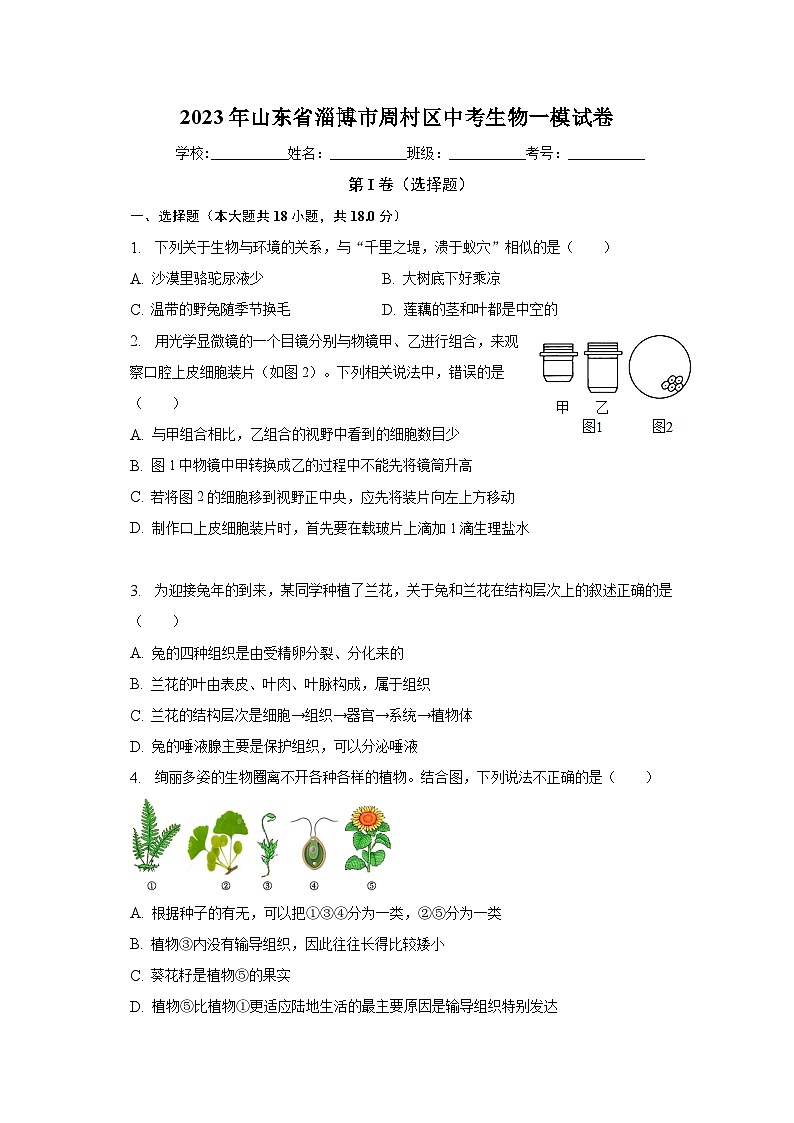 2023年山东省淄博市周村区中考生物一模试卷（含解析）01