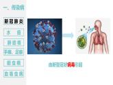 8.1.1 传染病及其预防-八年级生物下册同步优质课件（人教版八下）