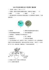 2023年北京市顺义区中考生物二模试卷（含解析）