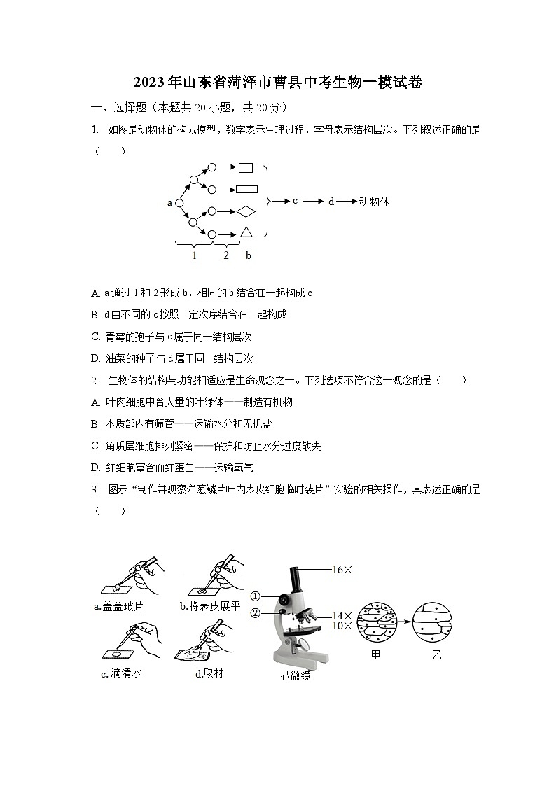 2023年山东省菏泽市曹县中考生物一模试卷（含解析）01