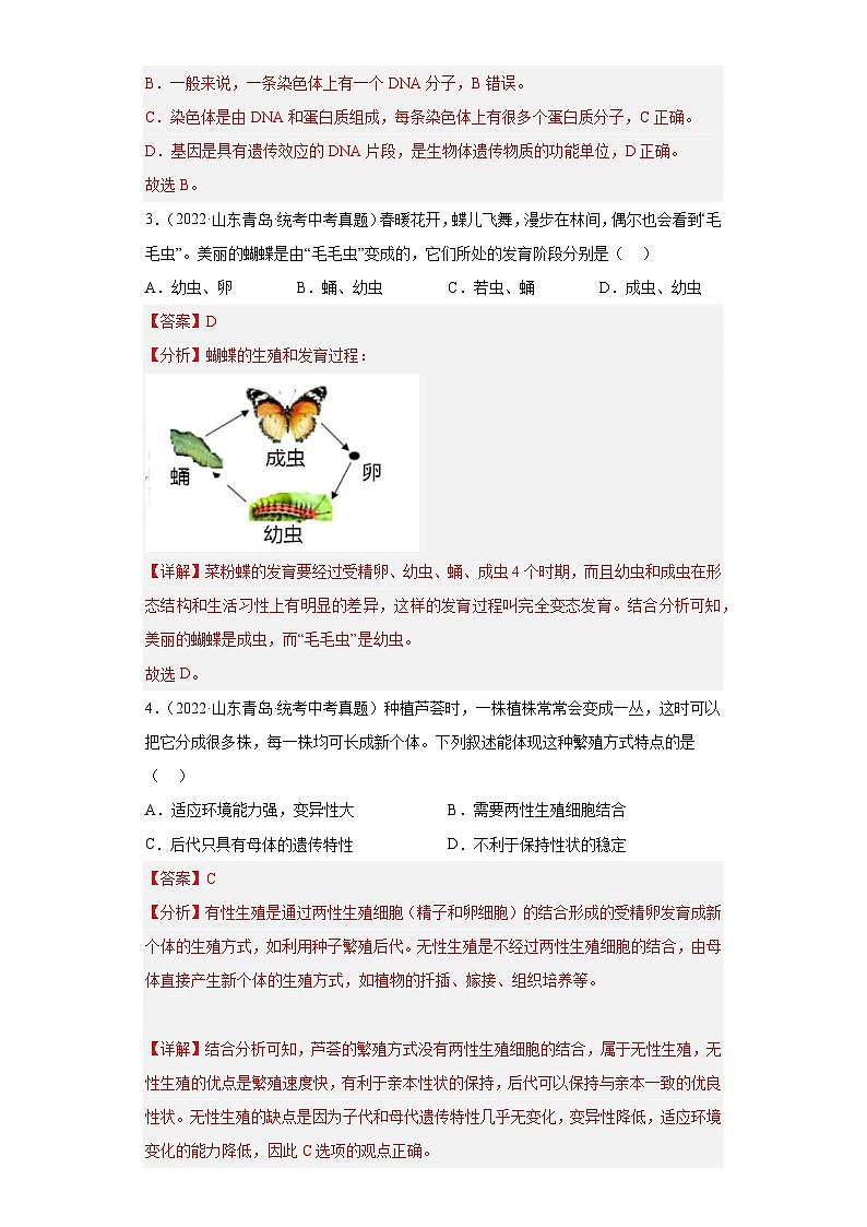 2023年中考生物专题复习12 生物的遗传与变异（答案）第2页