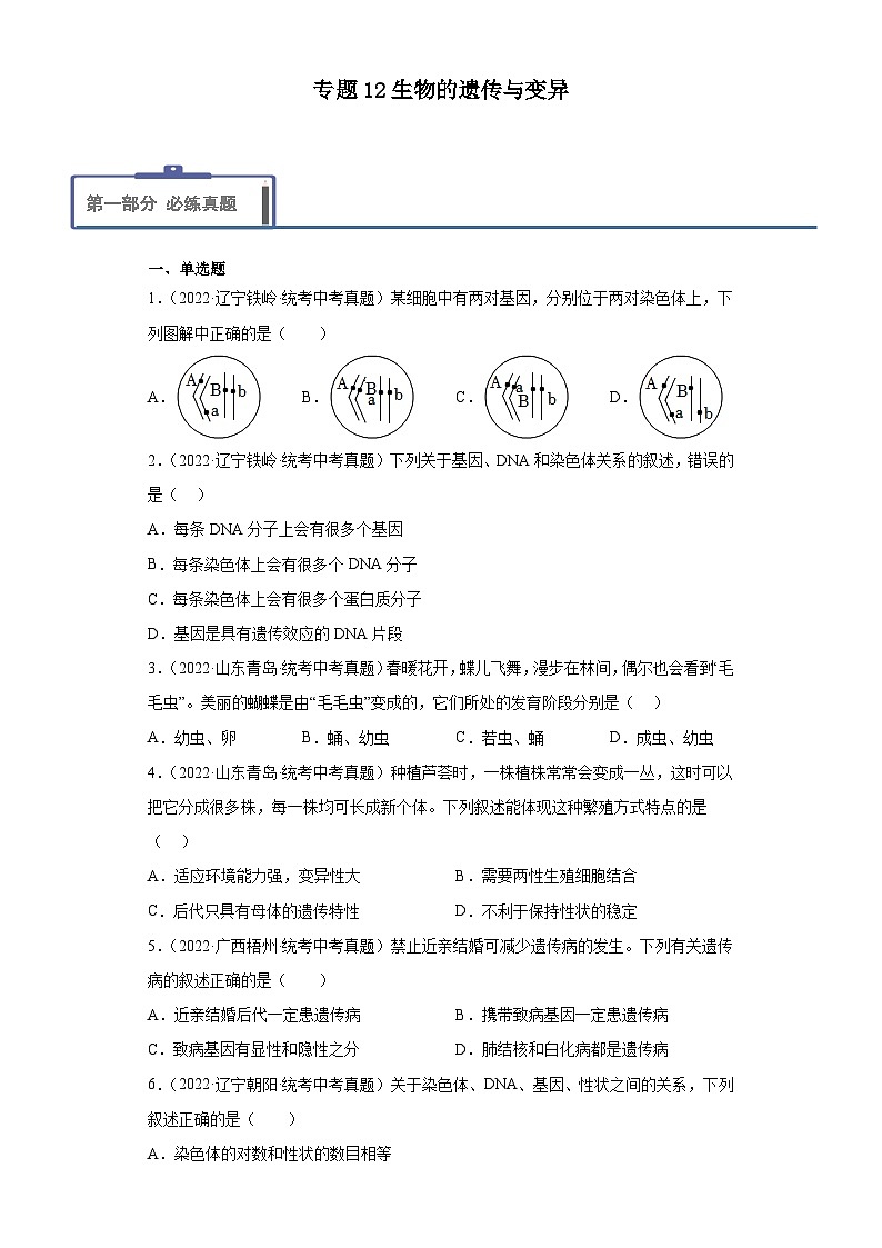 2023年中考生物专题复习12 生物的遗传与变异（习题）第1页