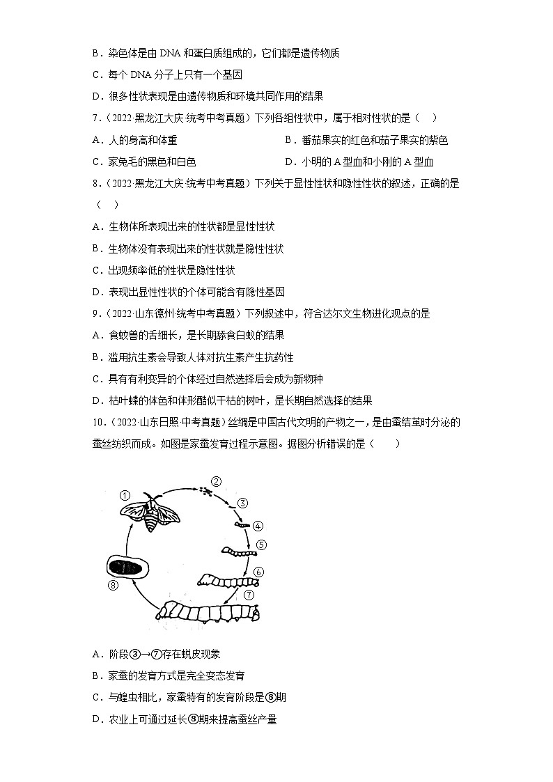2023年中考生物专题复习12 生物的遗传与变异（习题）第2页