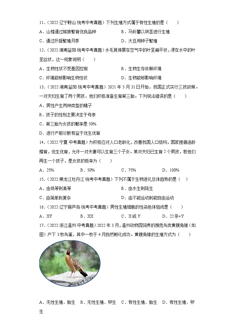 2023年中考生物专题复习12 生物的遗传与变异（习题）第3页