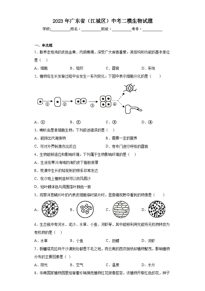 2023年广东省（江城区）中考二模生物试题(含答案)01