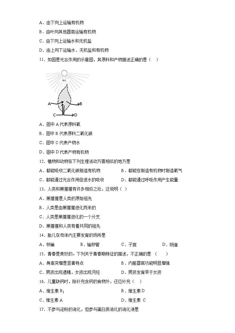 2023年黑龙江省大庆市龙凤区中考三模生物试题(含答案)02