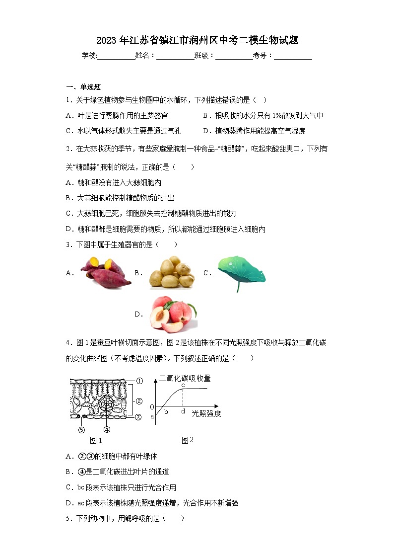 2023年江苏省镇江市润州区中考二模生物试题(含答案)01