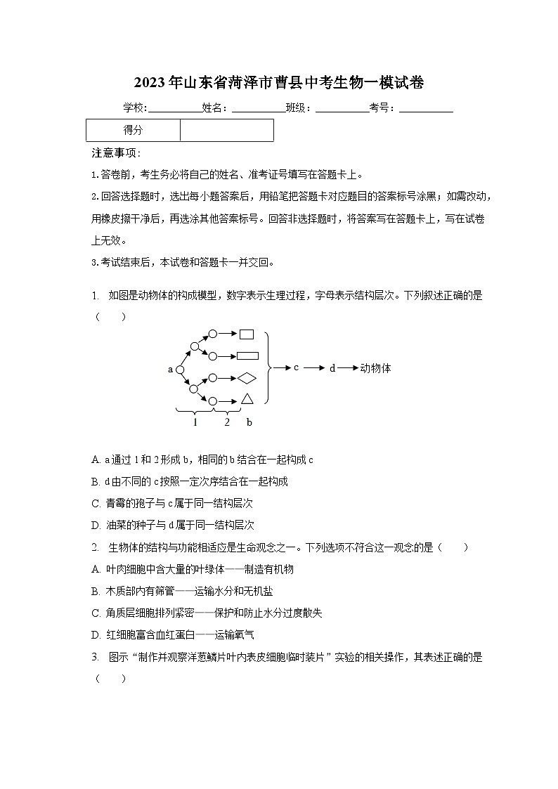 2023年山东省菏泽市曹县中考生物一模试卷（含解析）01