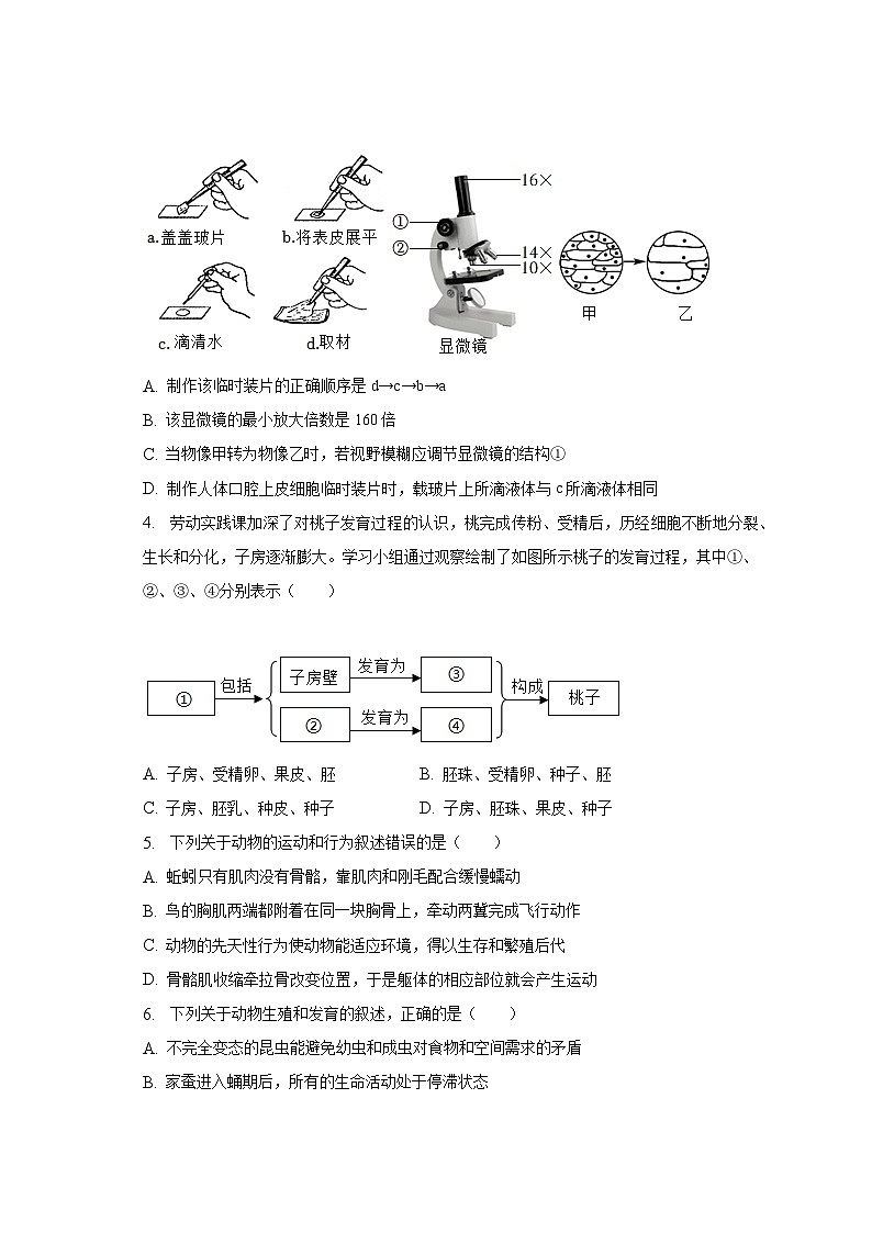 2023年山东省菏泽市曹县中考生物一模试卷（含解析）02