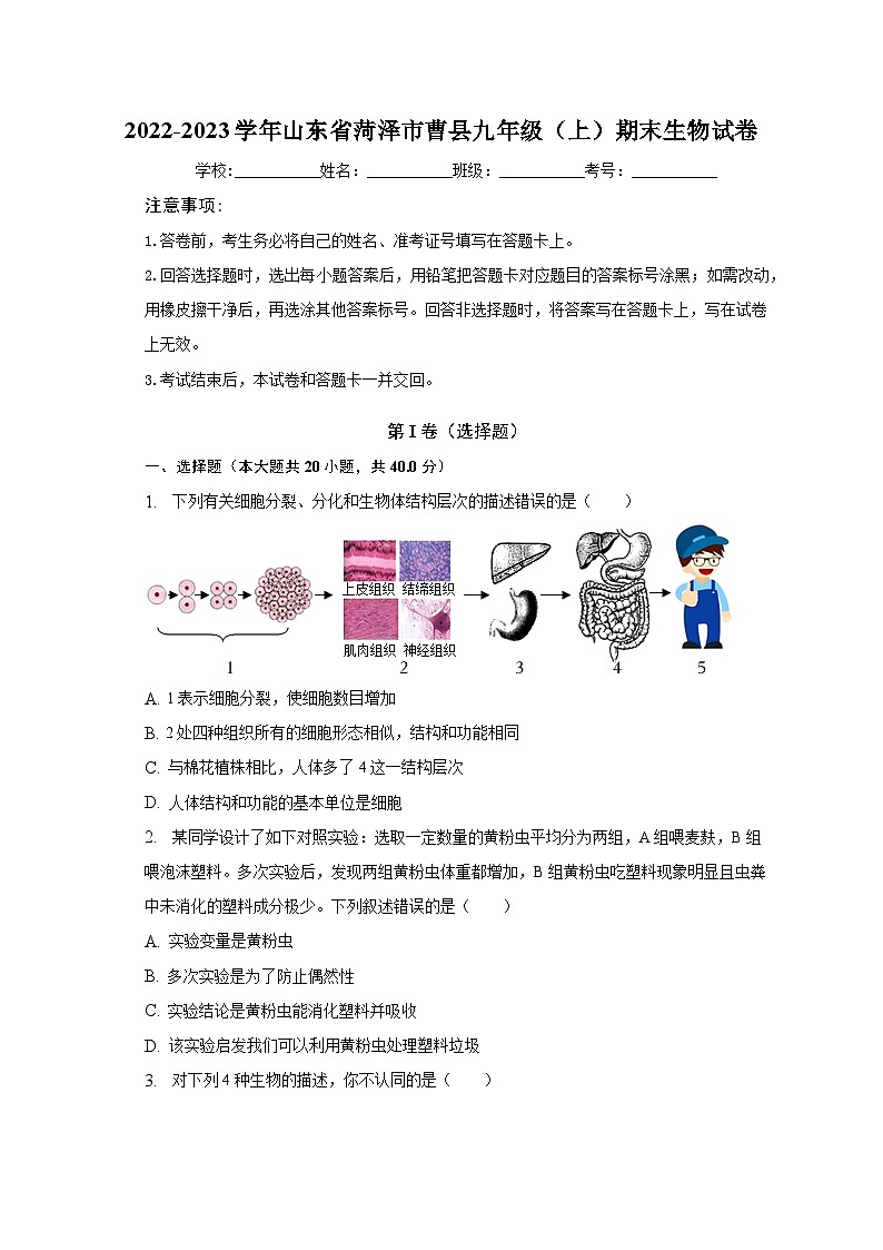 2022-2023学年山东省菏泽市曹县九年级（上）期末生物试卷（含解析）01