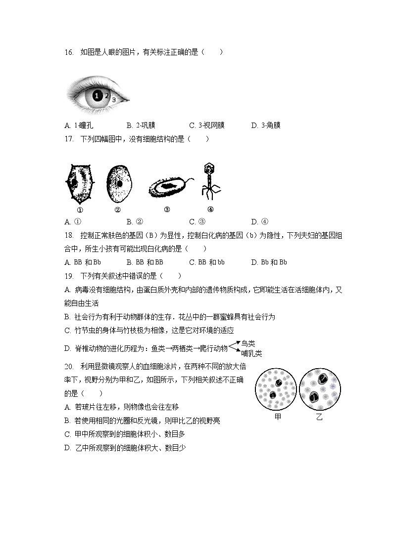 2023年安徽省蚌埠市怀远县中考生物二模试卷（含答案解析）03