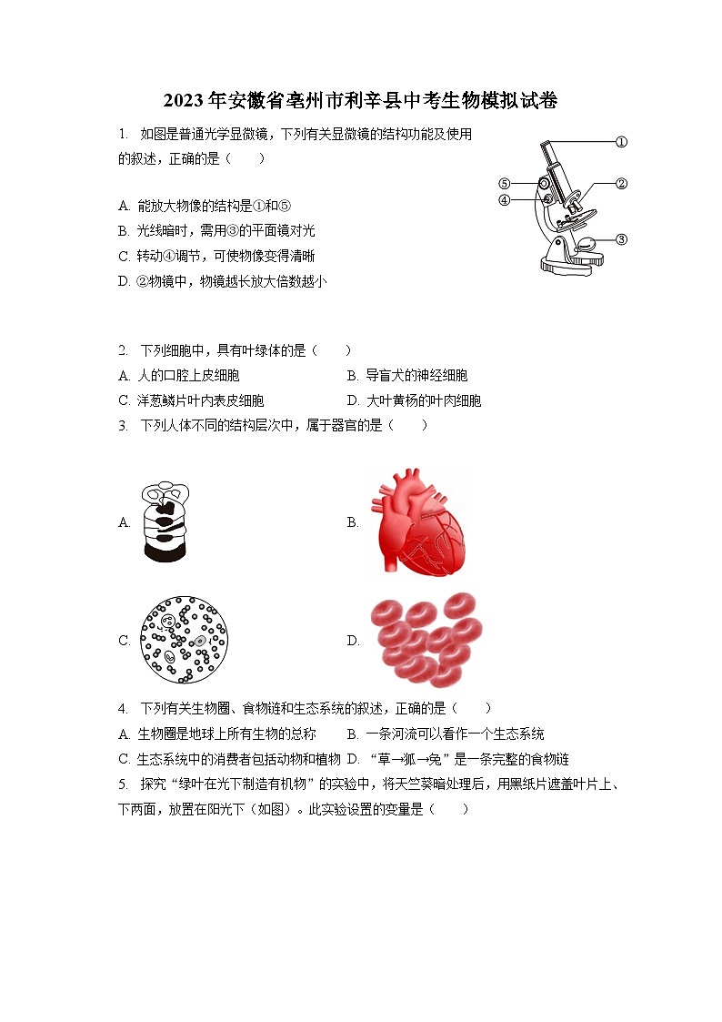 2023年安徽省亳州市利辛县中考生物模拟试卷（含答案解析）第1页