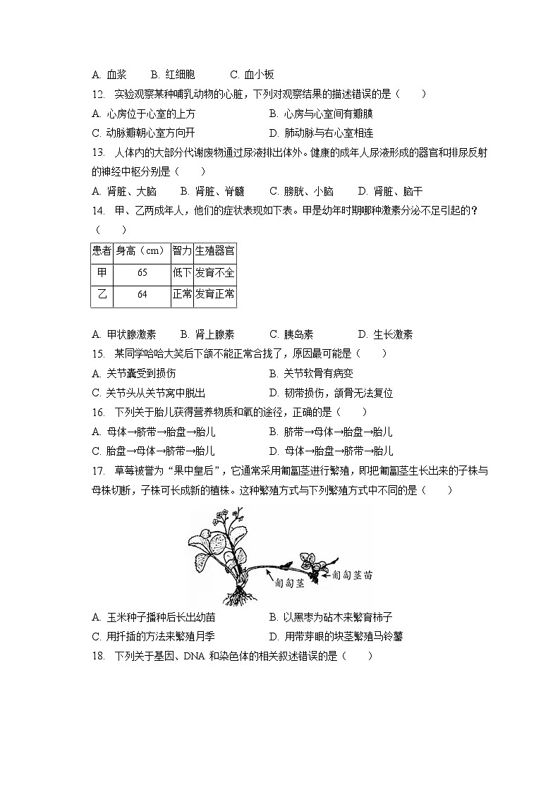 2023年北京市平谷区中考生物二模试卷（含答案解析）03