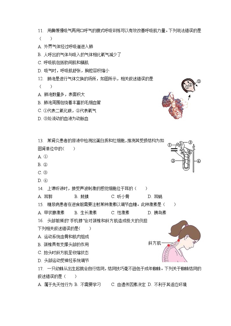 2023年北京市西城区中考生物二模试卷（含答案解析）03