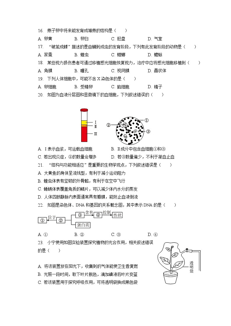 2023年福建省宁德市中考生物质检试卷（含答案解析）第3页