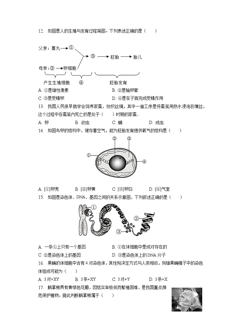 2023年福建省泉州市安溪县中考生物适应性试卷（含答案解析）第2页