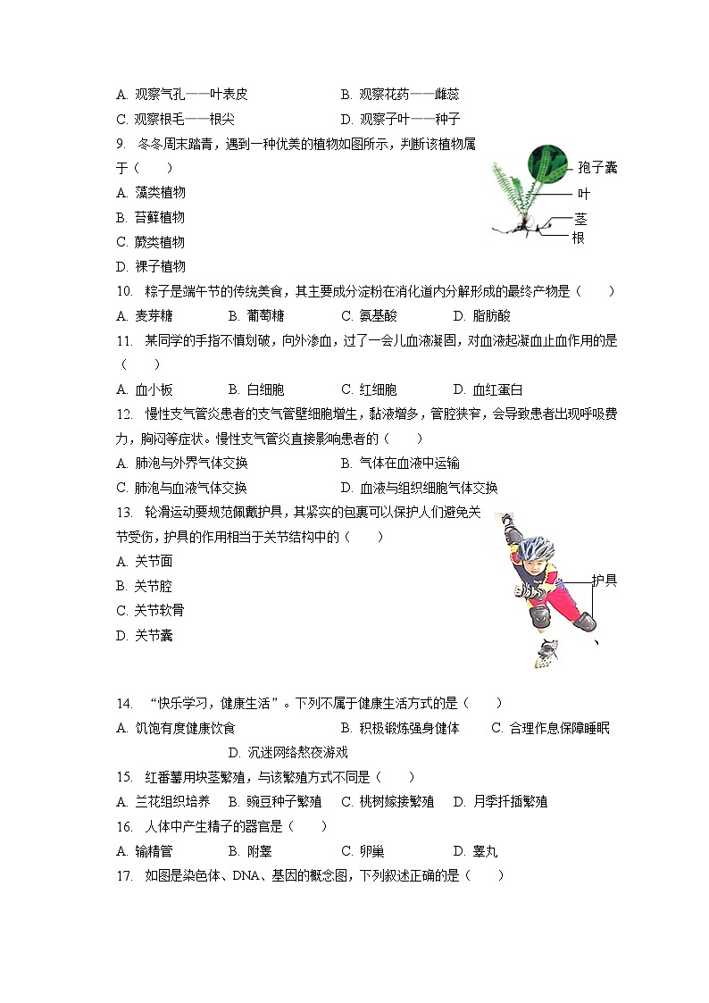 2023年福建省莆田市中考生物二模试卷（含答案解析）02