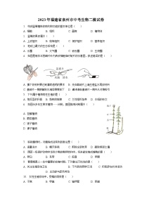 2023年福建省泉州市中考生物二模试卷（含答案解析）