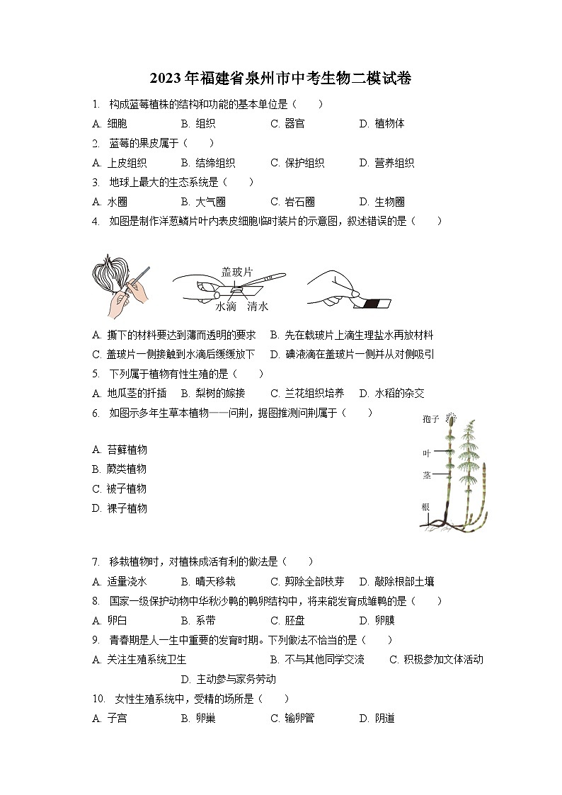 2023年福建省泉州市中考生物二模试卷（含答案解析）01