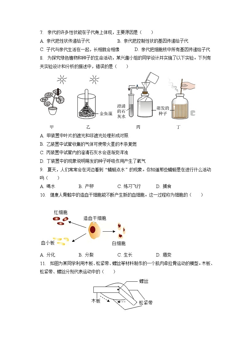 2023年吉林省松原市宁江区四校联考中考生物模拟试卷（含答案解析）02