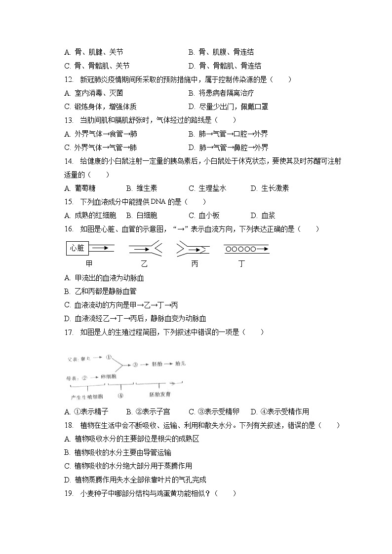 2023年吉林省松原市宁江区四校联考中考生物模拟试卷（含答案解析）03