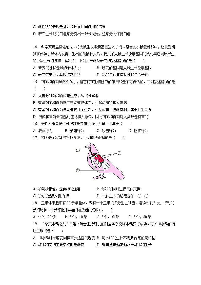 2023年吉林省松原市宁江一中、宁江五中等校联考中考生物二模试卷（含答案解析）03