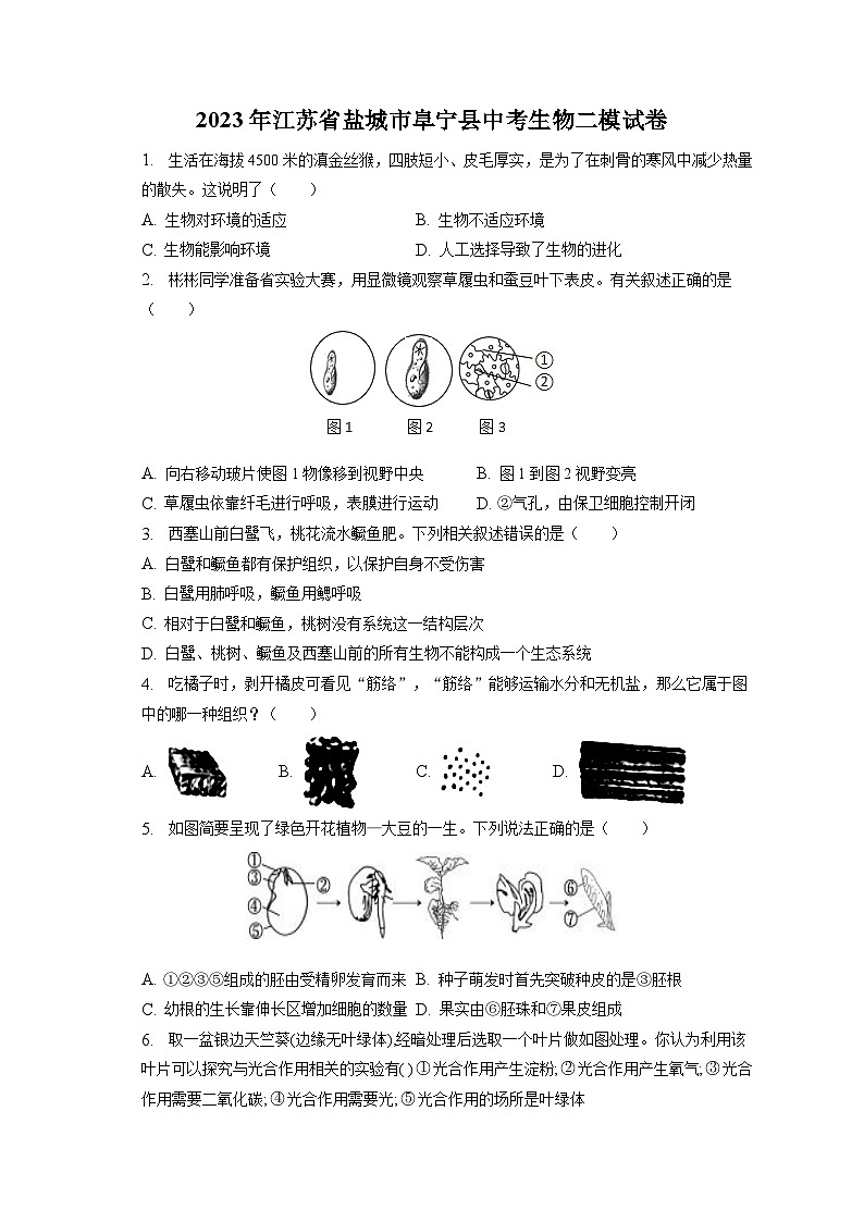 2023年江苏省盐城市阜宁县中考生物二模试卷（含答案解析）第1页