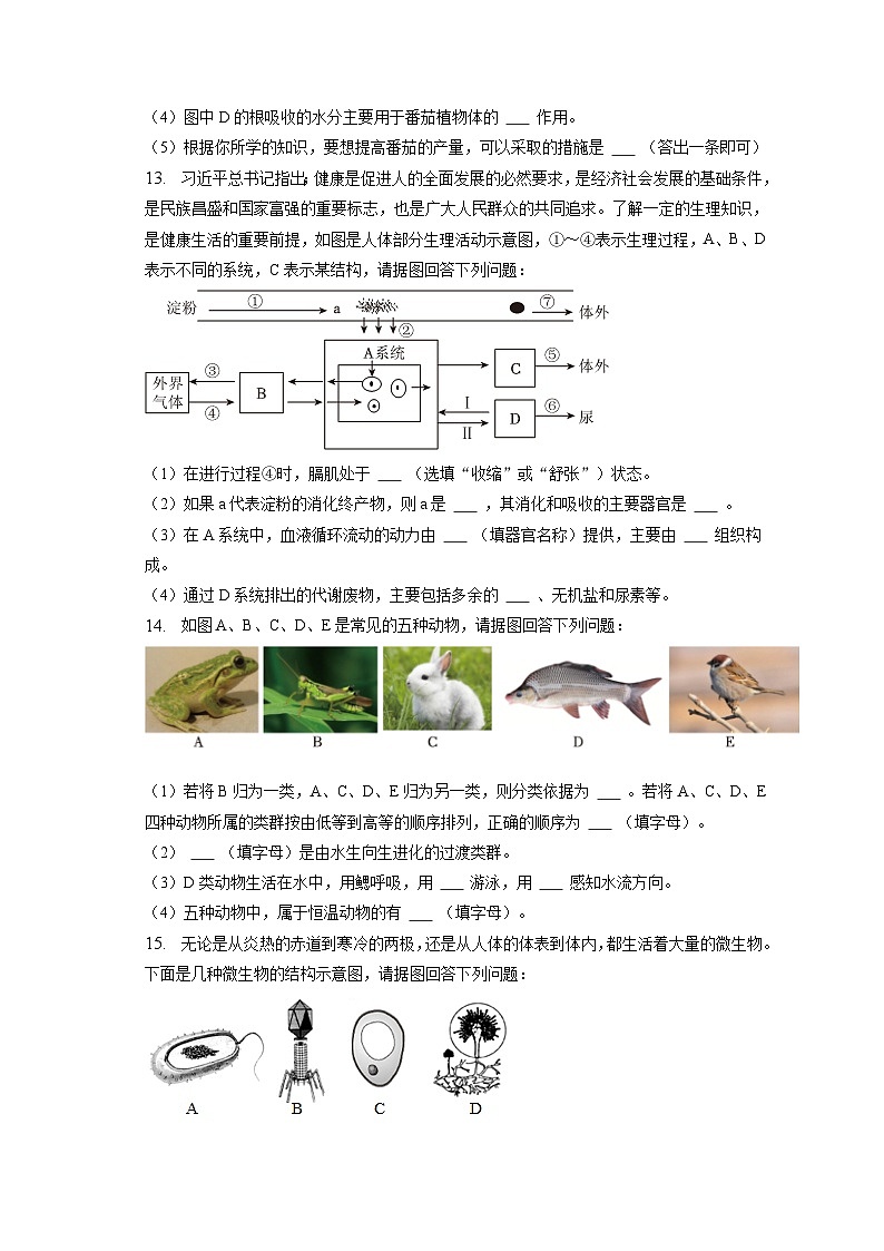2023年辽宁省朝阳市中考生物一模试卷（含答案解析）03