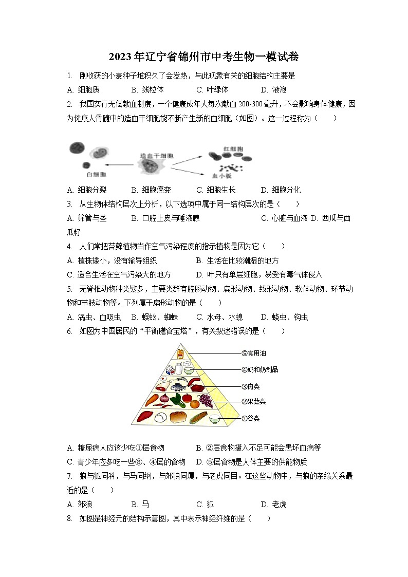 2023年辽宁省锦州市中考生物一模试卷（含答案解析）01