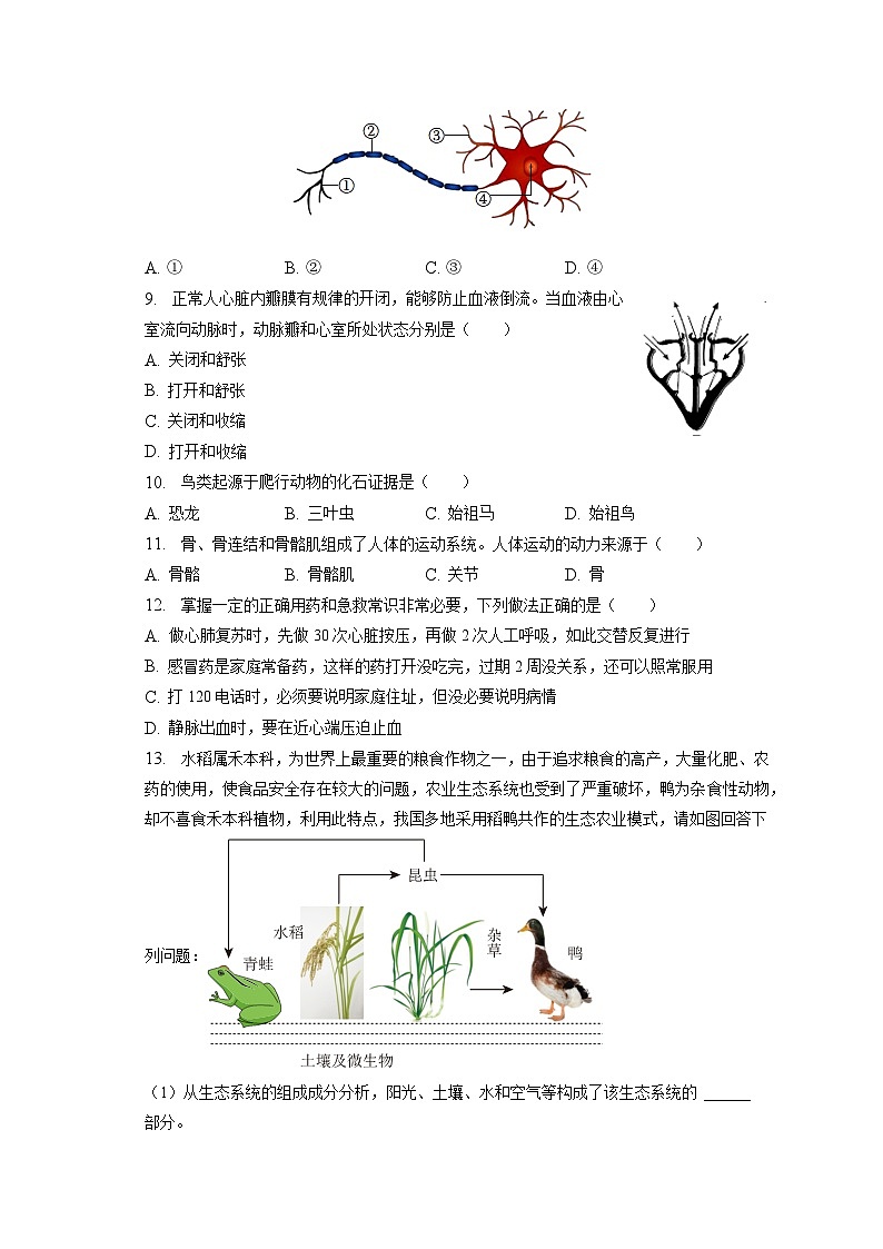 2023年辽宁省锦州市中考生物一模试卷（含答案解析）02