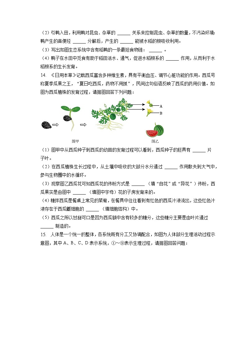 2023年辽宁省锦州市中考生物一模试卷（含答案解析）03