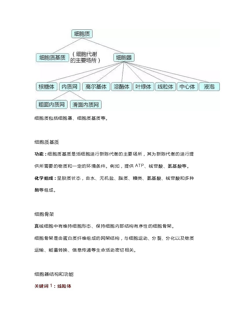 初中生物细胞核心必考知识点01