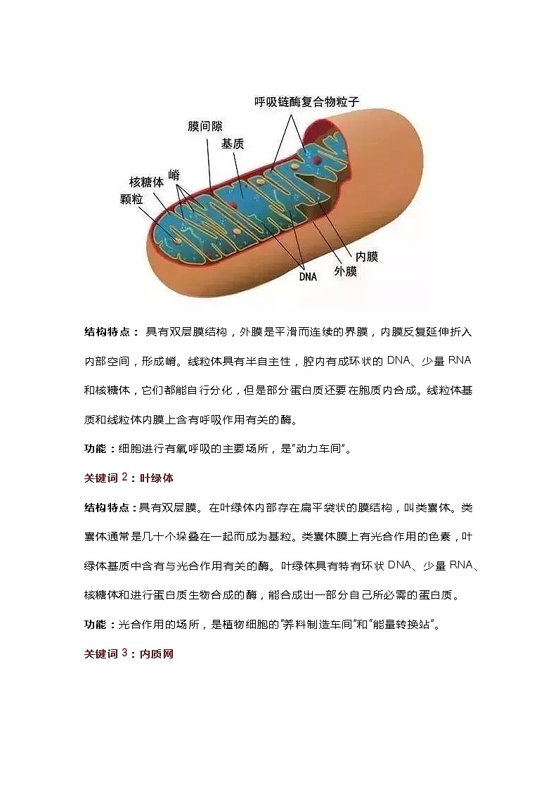 初中生物细胞核心必考知识点02