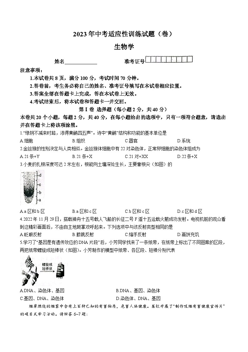 山西省介休市2022-2023学年八年级中考三模生物试题(含答案)第1页