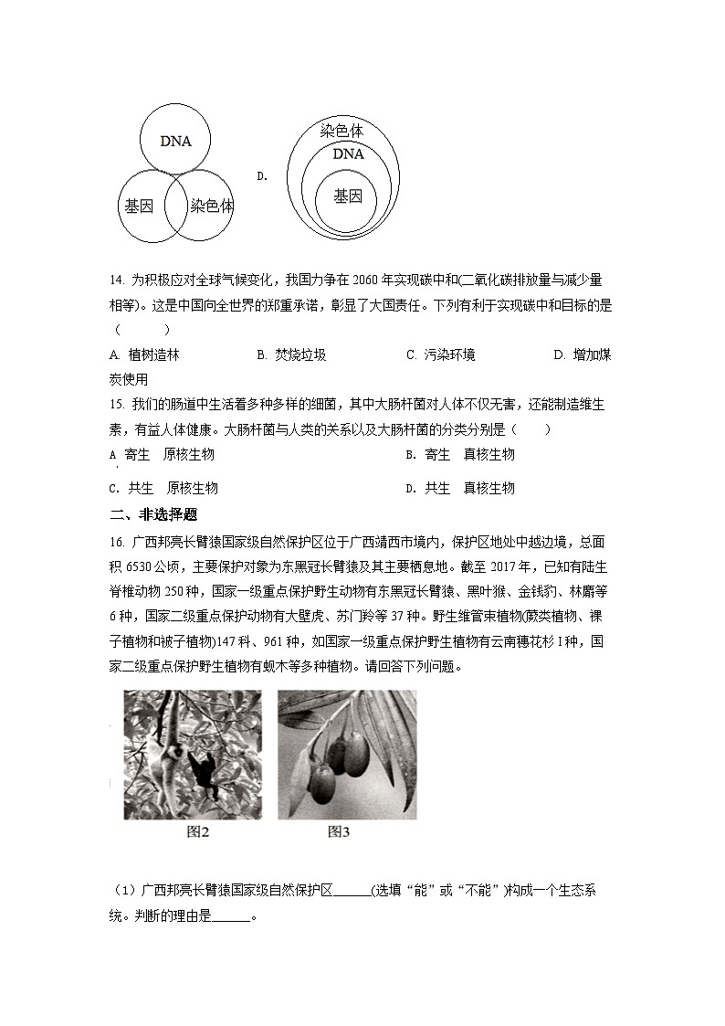 2022年百色市中考生物真题03