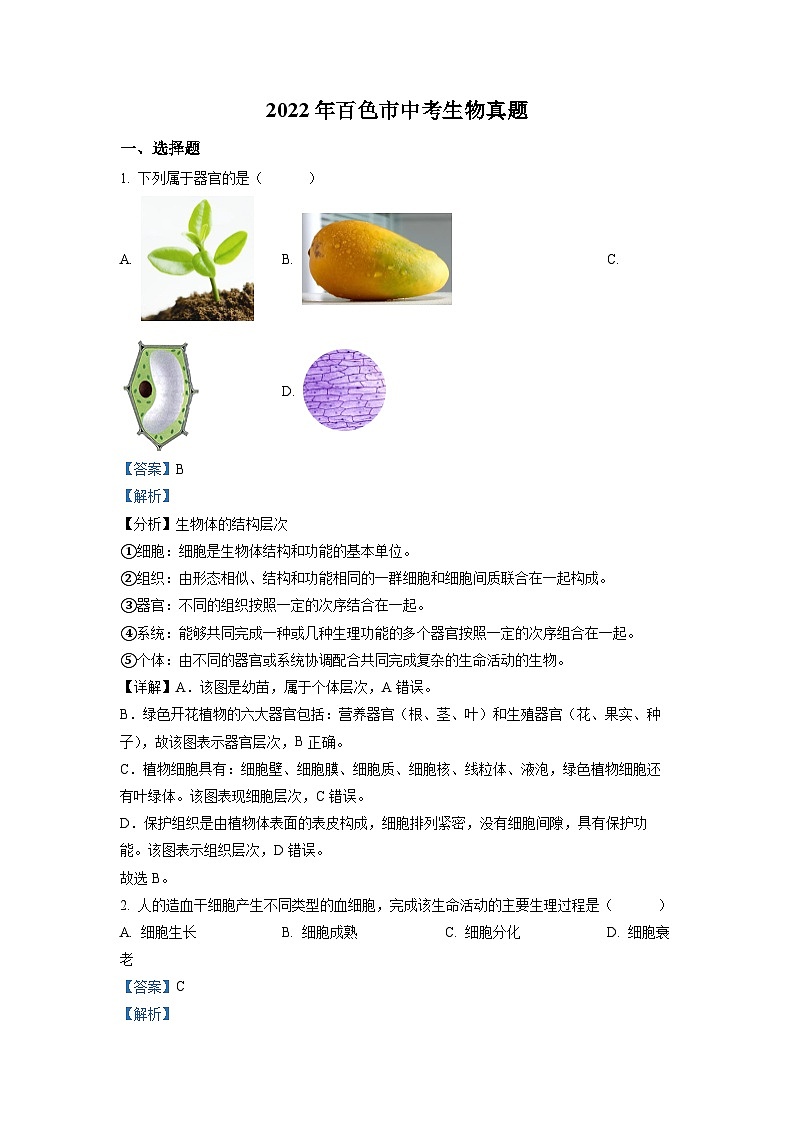 2022年百色市中考生物真题01