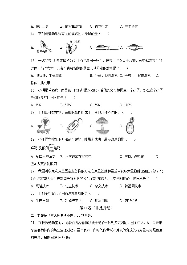 2023年河南省开封市中考生物二模试卷（含解析）第3页