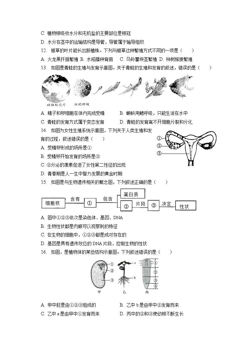 2022-2023学年四川省内江六中八年级（下）入学生物试卷（含解析）03