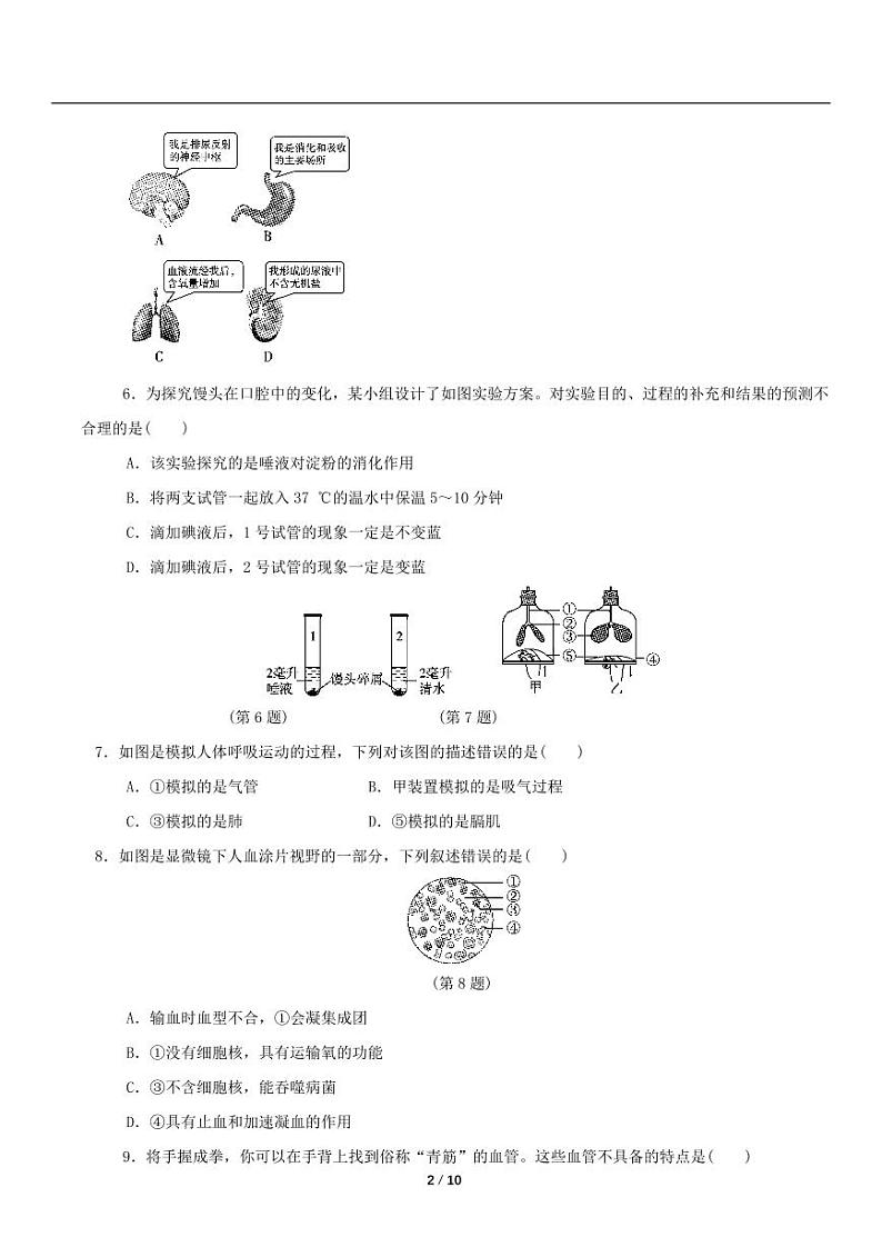 2022-2023学年人教版生物七年级下册期末检测题（一）（含详细解析）第2页