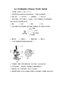 2023年河南省商丘市民权县中考生物一模试卷（含解析）