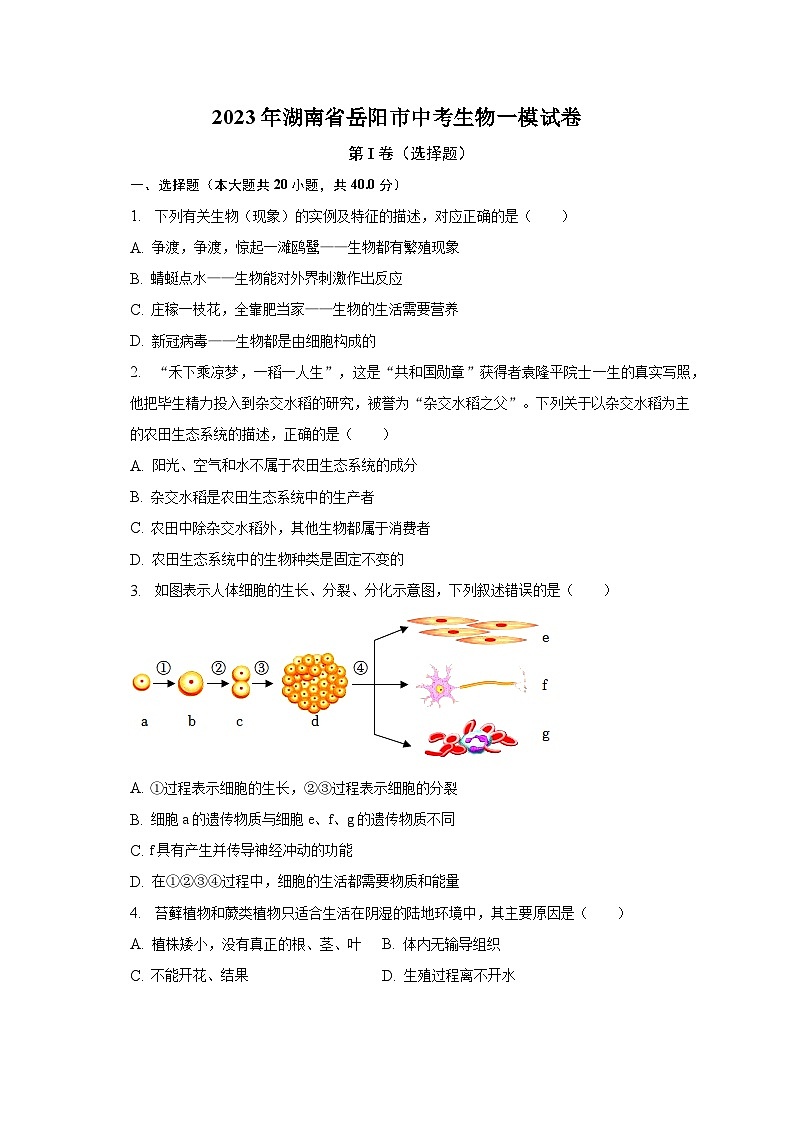 2023年湖南省岳阳市中考生物一模试卷（含解析）01